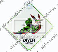 DIVER DRIVING